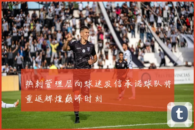 热刺管理层向球迷发信承诺球队将重返辉煌巅峰时刻