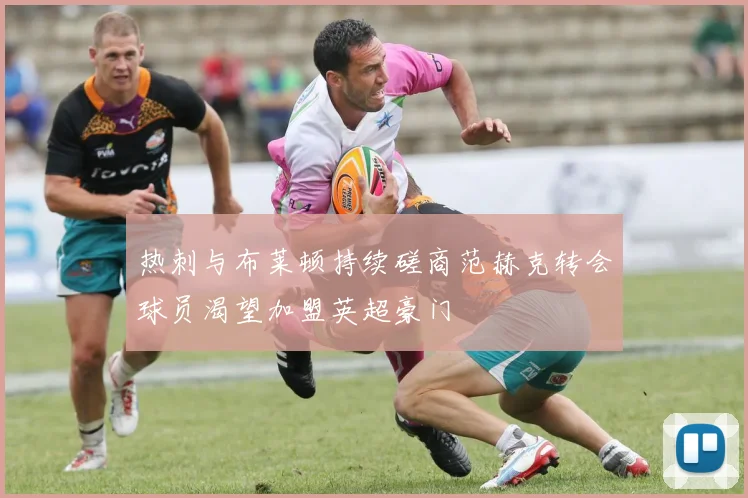 热刺与布莱顿持续磋商范赫克转会球员渴望加盟英超豪门