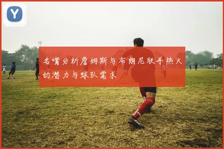 名嘴分析詹姆斯与布朗尼联手热火的潜力与球队需求