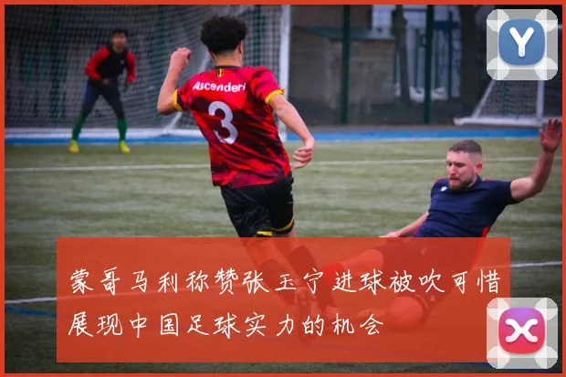 蒙哥马利称赞张玉宁进球被吹可惜展现中国足球实力的机会
